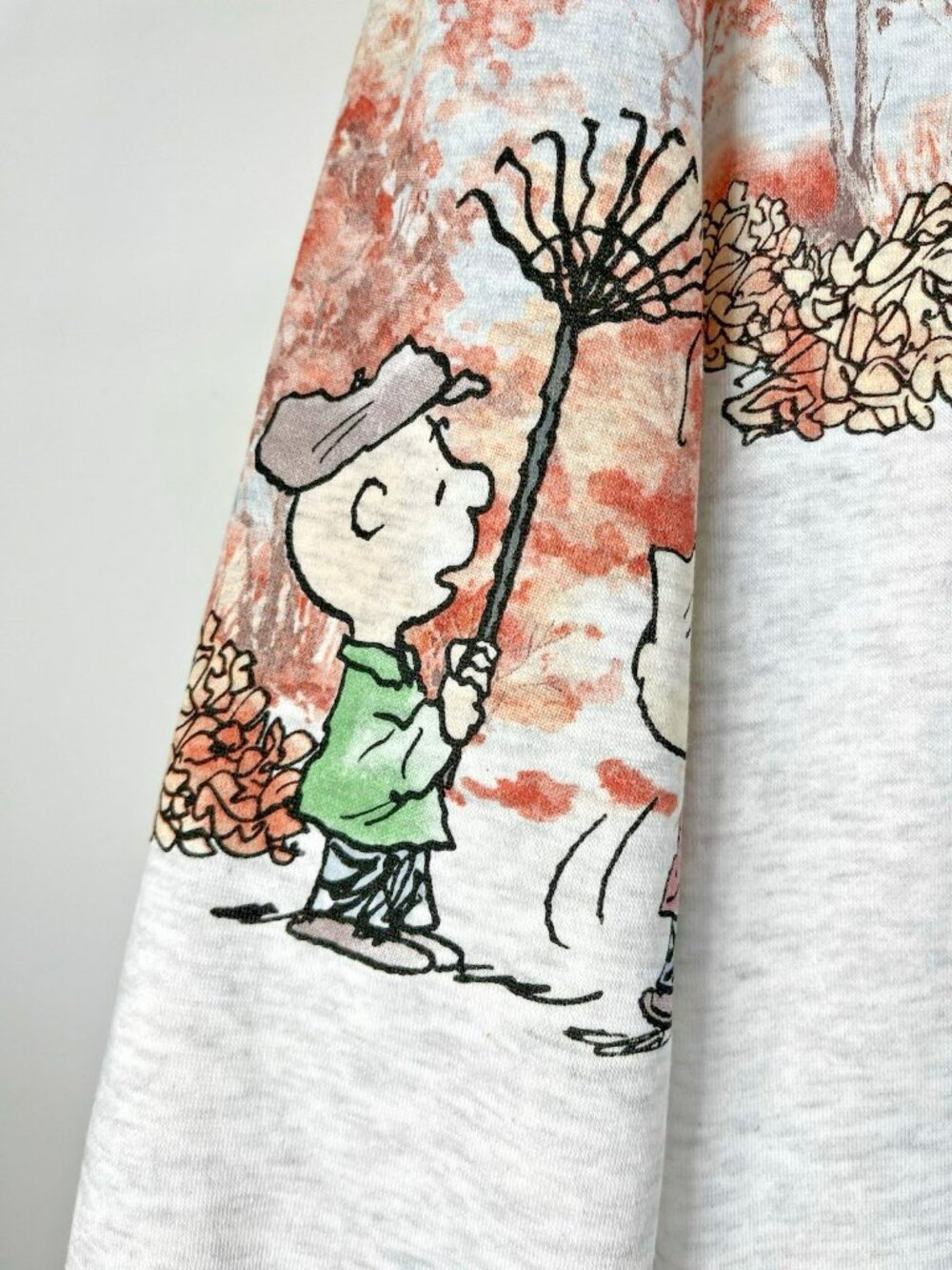 Peanuts Gang Snoopy And Friends Womens Large Autumn Days Ahead Sweatshirt - Picture 9 of 16
